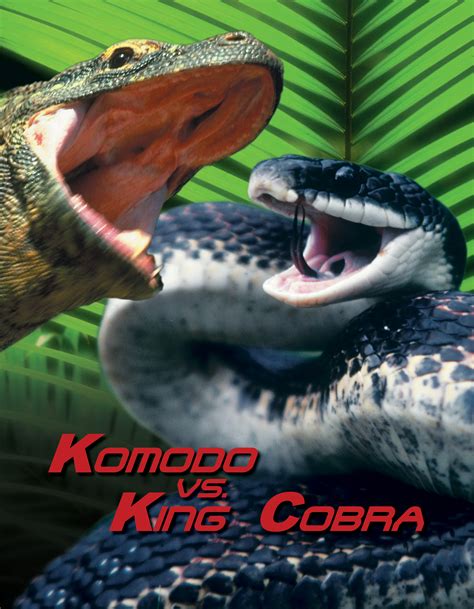 Komodo Vs Cobra Cast