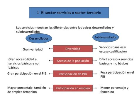 Ud Las Actividades Del Sector Terciario Ppt