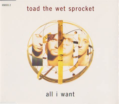 Toad The Wet Sprocket - All I Want (CD, Maxi-Single) | Discogs