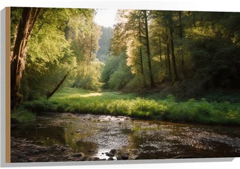 Hout Bos Natuur Water Beekje Stenen Bomen 90x60 Cm 9 Mm