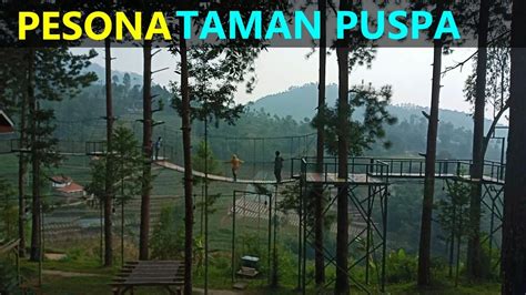 Jembatan Gantung Yang Bikin Dag Dig Dug Wisata Alam Pesona Taman