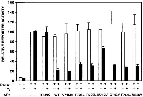 The Ability Of Ar Mutants To Repress Rela Induced Transactivation Cos 1