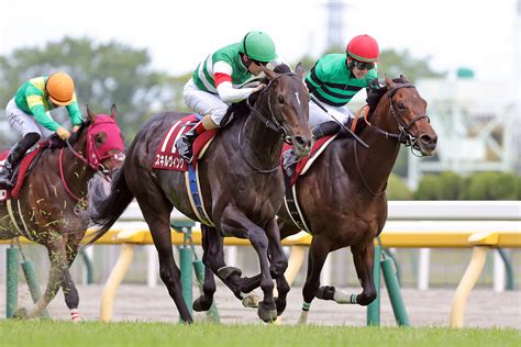 【日本ダービー】青葉賞から史上初のダービー馬は出るのか スキルヴィングと木村師の大きな挑戦 日刊ゲンダイ競馬