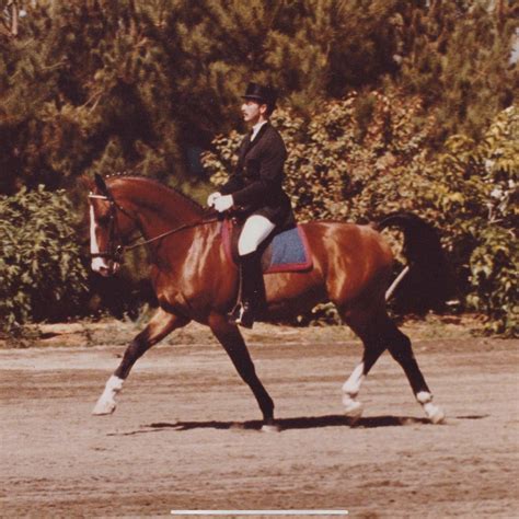 Applied Posture Riding - The dressage posture uses muscles through a