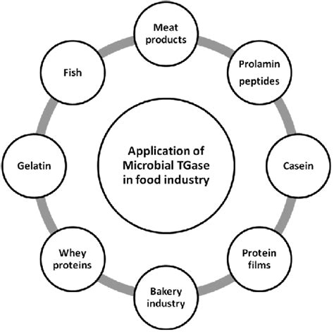 Transglutaminase And Its Use In Food Processing Download Scientific