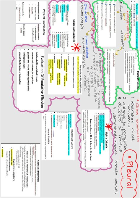 Solution Pleural Effusion Studypool