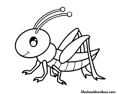 Grasshopper Coloring Pages Free Printable PDF Templates Life Should