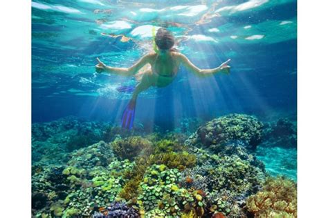 How Your Sunscreen Is Affecting Coral Reefs Spirituality And Health