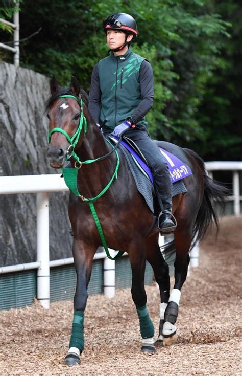 【宝塚記念】サートゥルナーリア進化止まらず ルメール実感「体が大きくなった」競馬・レースデイリースポーツ Online