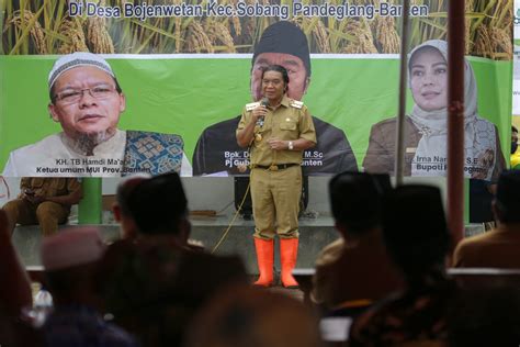 Panen Raya Padi Pj Gubernur Banten Al Muktabar Petani Adalah Pahlawan