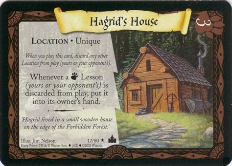 Hagrid's House | Harry Potter Wiki | Fandom