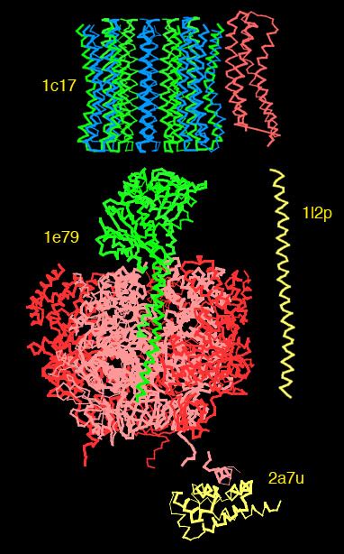 Pdb 101 Learn Guide To Understanding Pdb Data Missing Coordinates