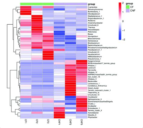 The Heat Map Illustrated The Relative Abundances Of Bacteria Among