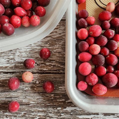 How To Freeze Fresh Cranberries Everything You Need To Know Milk