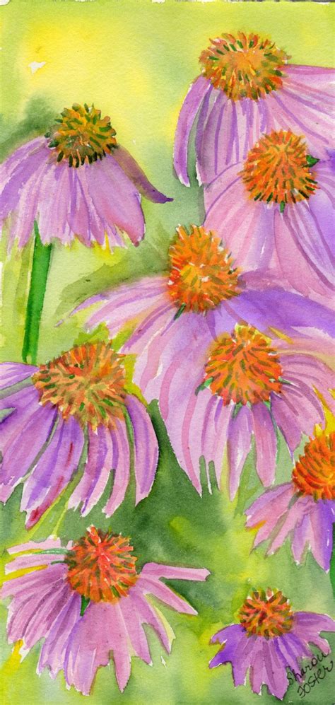 Echinacea Purple Coneflower Watercolor Original Etsy Painting