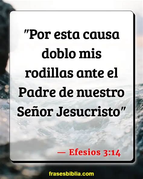 Vers Culos De La Biblia Importancia Familiar