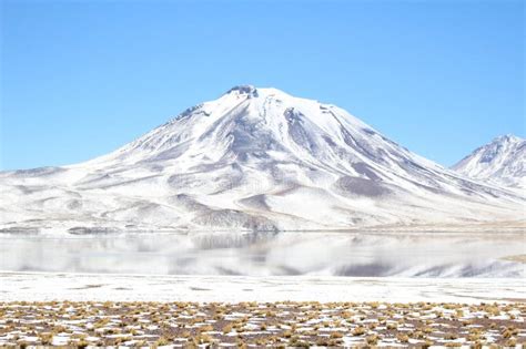 Lascar Volcano Atacama Chile Stock Photo Image Of Mountain