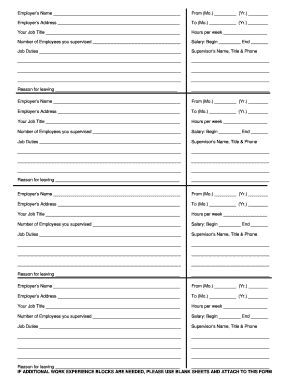 Work History Form - Fill Online, Printable, Fillable, Blank | pdfFiller