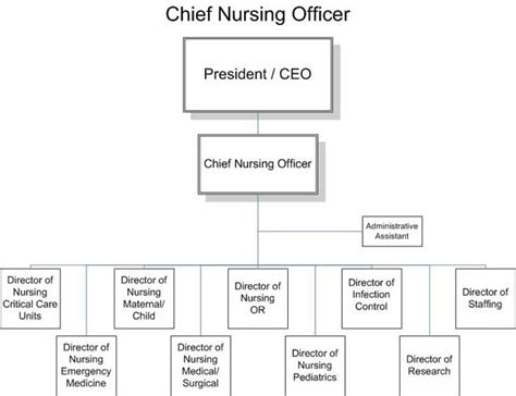 Hr Organizational Charts Chief Nursing Officer