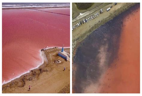 Que Hay Entre La Playa Y El Mar Rosado Nuestra Playa