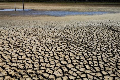 La Ni A Costera Lo Que Debes Saber Sobre El Fen Meno Que Afectar Al