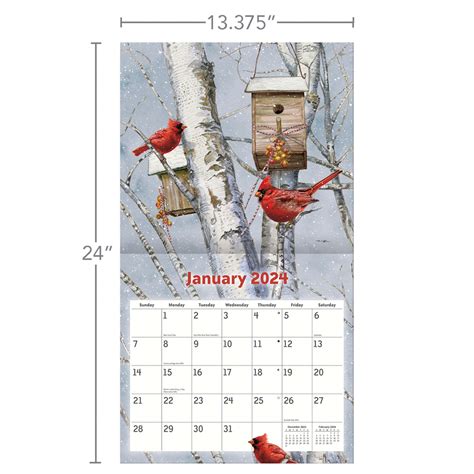 Lang Wall Calendar 2024 Birdhouses | Nextra Dianella