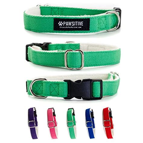 5 Best Eco-Friendly Dog Collars 2024 - Dog Fluffy