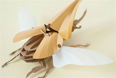 Papercraft Beetle Side View