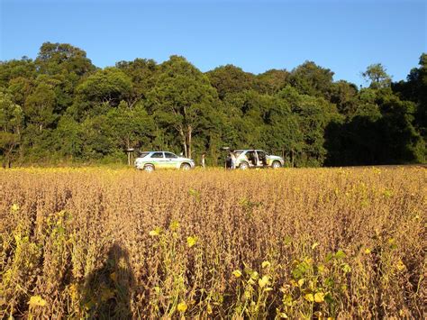 Rally Da Safra Percorre Mato Grosso Do Sul Acrissul