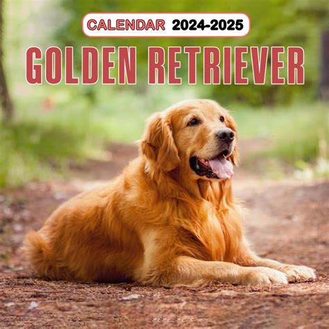 Golden Retriever Calendar 2024 2025 24 Month Planner To Keep You On