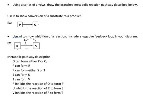 Solved Using A Series Of Arrows Draw The Branched Metabolic Chegg