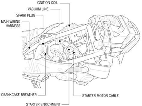 Cc Scooter Fuel Line Diagram