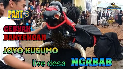 Part 3 KALAPnya BANTENG JOYO KUSUMO Live Ngabab YouTube