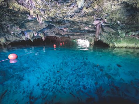 Gran Cenote Tulum-2 - The Sweetest Way