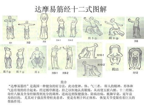 金庸四大內功秘籍之易筋經來源及總論配12式圖 每日頭條