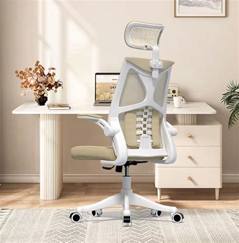 Monhey Ergonomic Office Chair Office Chair With Lumbar Support