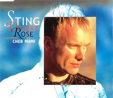 Sting Featuring Cheb Mami Desert Rose 1999 Cd Discogs