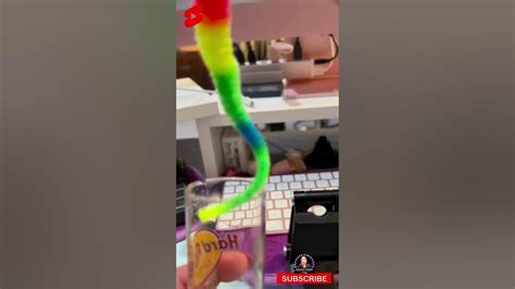 Colorful Worm In A Shot Glass 🌈🤯🔥🛎👍 Shorts Wormszone Toys Youtube