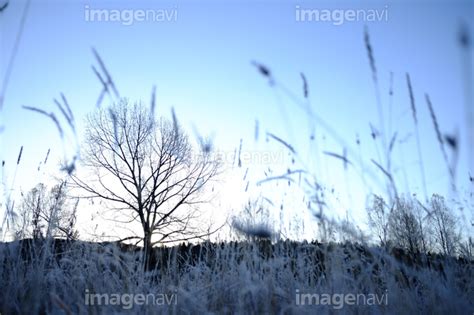 【初冬の風景】の画像素材31045944 写真素材ならイメージナビ