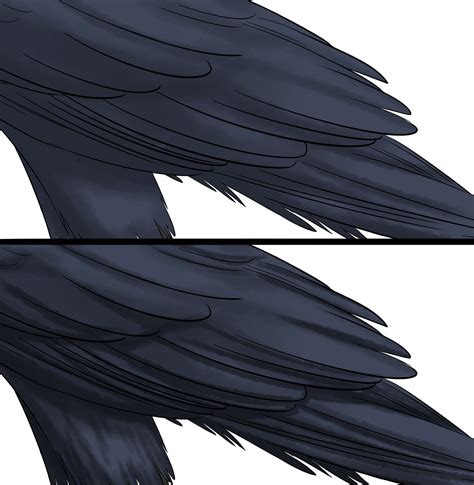 Comment Dessiner Un Corbeau En 2021 Corbeau Comment Dessiner Dessin