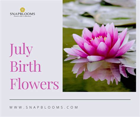 July Birth Flower and Their Meanings - SnapBlooms Blogs