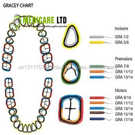 Gracey Scaler Chart Ponasa