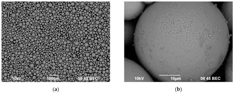 Metals Free Full Text Investigation Of Microstructure And Corrosion