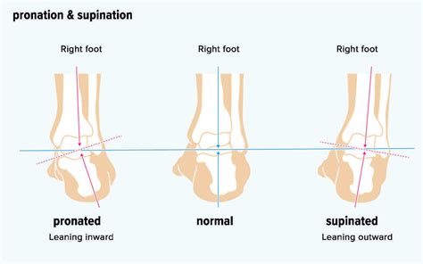 Pronation & Supination – Foot of the Rockies