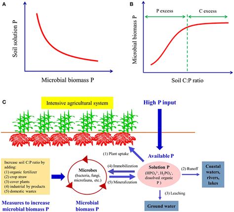 Frontiers Closing The Loop On Phosphorus Loss From Intensive