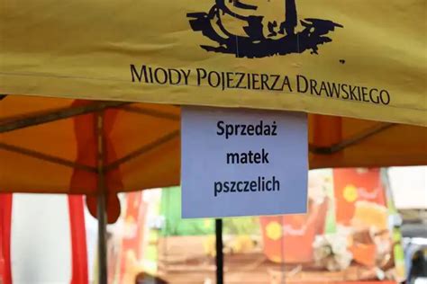 Bolesławiec dla Ciebie Bolec Info Polskie pszczoły mają za sobą