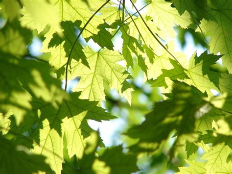 Green Marketing: How to Market Your Eco-Friendly Business - Ecobnb