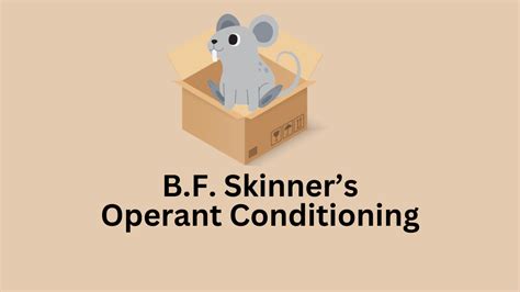 Skinner S Operant Conditioning History Experiment Findings