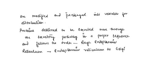 Solved Can You Recall The Process Of Protein Trafficking And Secretion