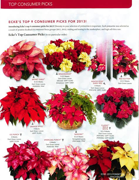 Ecke Poinsettias 2013 Catalog · The Paul Ecke Ranch Inc Business